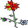Beautiful Flowers Clipart 51