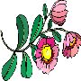 Beautiful Flowers Clipart 57