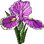 Beautiful Flowers Clipart 66