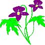 Beautiful Flowers Clipart 69