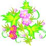 Beautiful Flowers Clipart 81