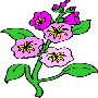 Beautiful Flowers Clipart 85