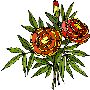 Beautiful Flowers Clipart 89