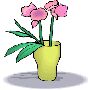 Beautiful Flowers Clipart 92
