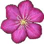 Beautiful Flowers Clipart 95