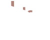 Learn DC.js