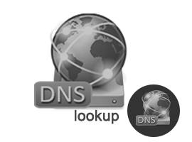 DNS Lookup for a Website
