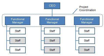 Functional Organizational Structure: Advantages and ...