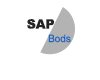 Learn SAP BODS