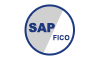 Learn SAP FICO