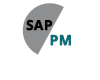 Learn SAP PM