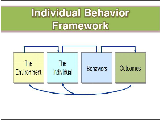 individual and group behavior in organizations