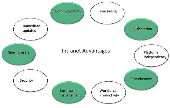 Benefits of the Intranet Network 