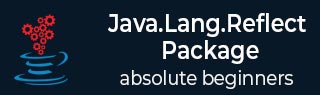java.lang.reflect package tutorial