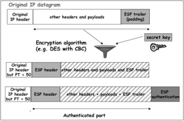 Transport Mode Encryption Authentication