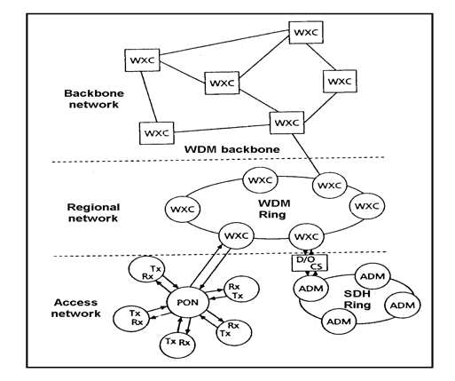 backbone network