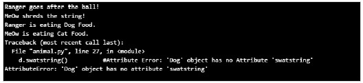 Python Constructor Output