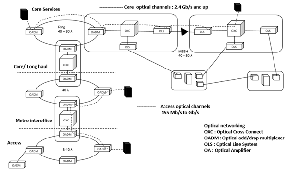 Optical Transport Network Architectures