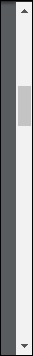 Vertical Scroll Bar