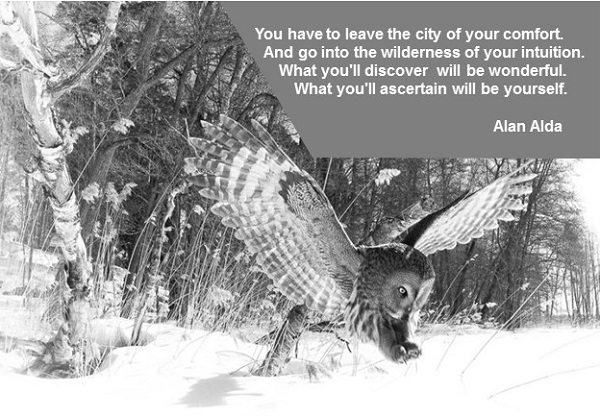 Personal Branding Identification