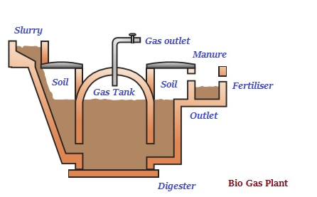 Bio Mass Fuel