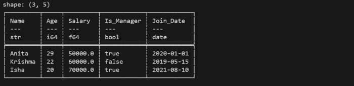 Polars DataFrame example