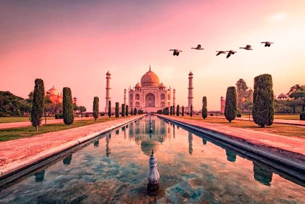 tajmahal balance color