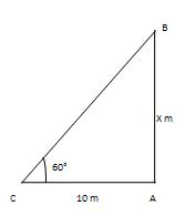 Height & Distance Solution 12