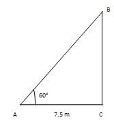 Height & Distance Solution 19