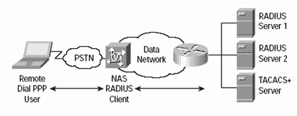 Radius Network Diagram