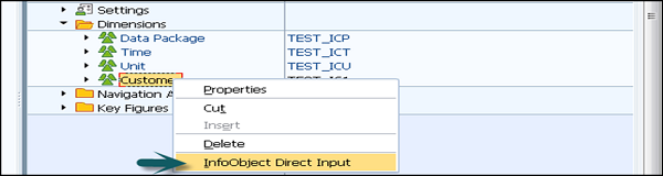 InfoObject Direct Input