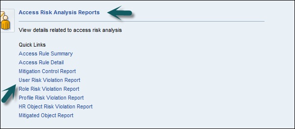 Access Risk Analysis Report
