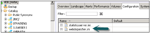 Enabling ICM Web Dispatcher service