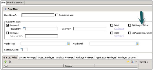 SAP Logon and Assertion Tickets