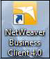 NetWeaver Business