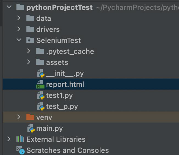 Python Project Test