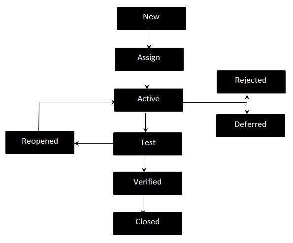 Issue Life Cycle in Software Testing
