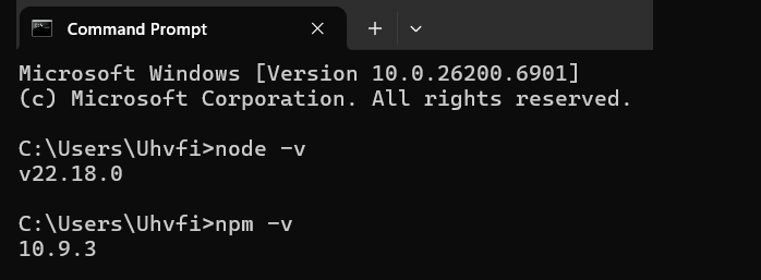 Setting up the Solidjs Environment