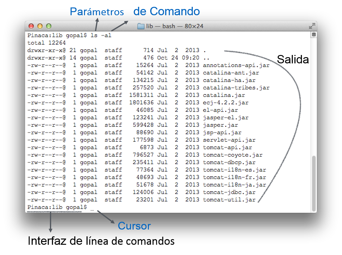 Command Line Interface (CLI)