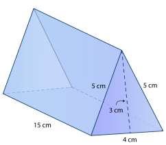 Using a net to find the surface area of a triangular prism Quiz6