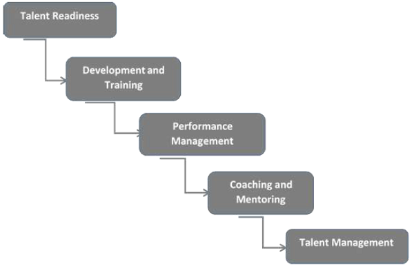 Developing Talent