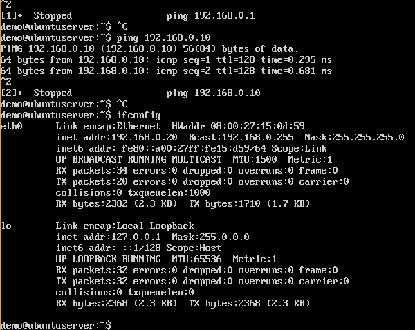 Ubuntu IP Address