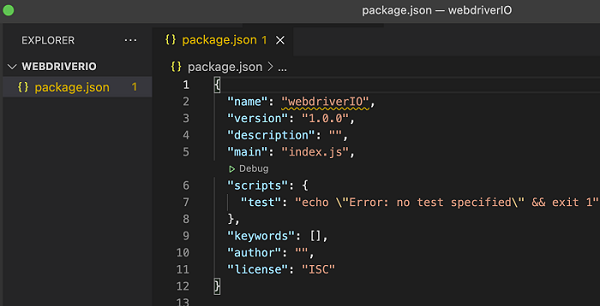 Package.json File