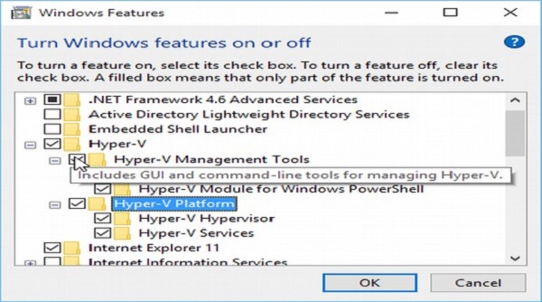 Hyper-V Feature