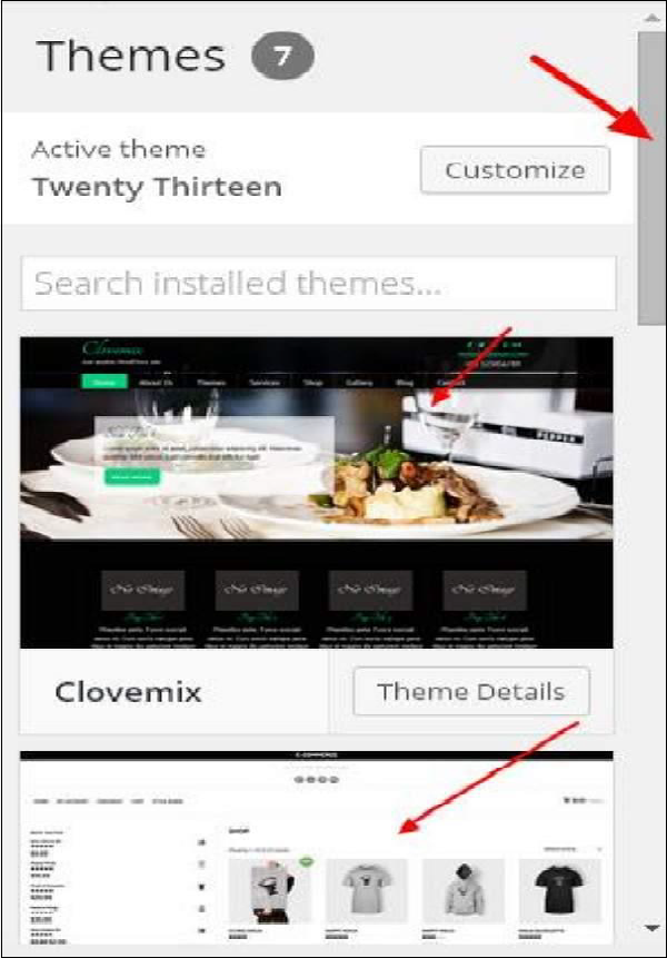 WordPress Customize Theme