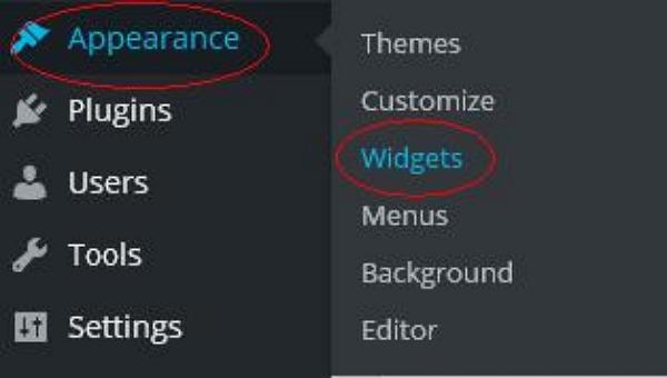 WordPress Widget Management